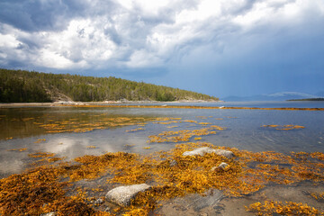 Littoral of the White Sea at low tide on summer, Russia