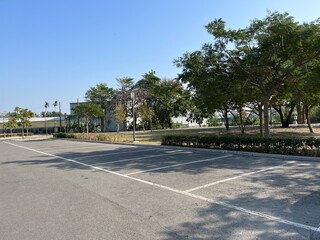 自然の中の駐車場