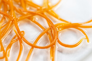 Study of Parasitic helminths (Trematodes) and Ascaris of fishes under a microscope.