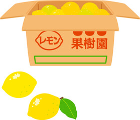 段ボール箱に入ったたくさんのレモン