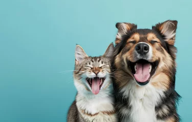 Foto op Plexiglas Banner with pets. Dog and cat smiling with happy expression and closed eyes. Isolated on blue colored background © Sattawat