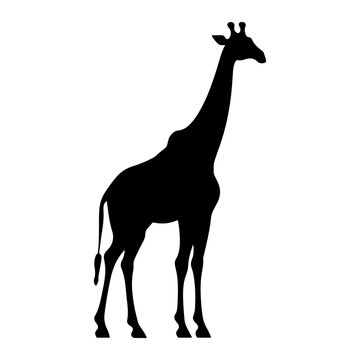 Giraffe black silhouette logo svg vector, Giraffe icon illustration.