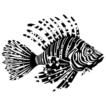 black and white lionfish swimming clip art preview