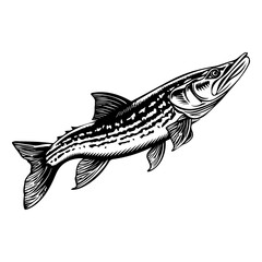 northern pike fish black silhouette logo svg vector, pike fish  icon illustration.
