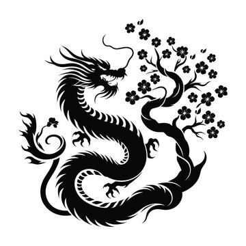 chinese dragon tattoo, japanese dragon silhoutte, isolated on white