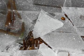 Pieces of cracked ice