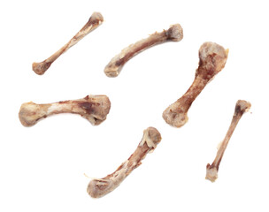 Chicken bone isolated on white background. Close-up