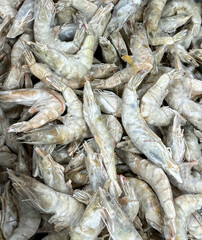 Fototapeta premium Gray shrimp on a shelf in a market