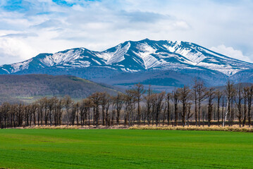 Rural landscapes. Rolling mountain range, farmland field and blue sky with white clouds in a beautiful sunny day in high latitude country springtime - obrazy, fototapety, plakaty