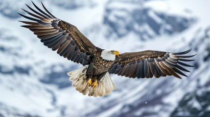 A majestic bald eagle soaring through the sky, wings outstretched against a backdrop of snow-capped mountains.