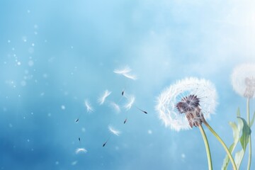 A dandelion gracefully sways in the wind under a bright sun, embodying serenity and strength, dandelion on a white background, condolence, grieving card, AI Generated