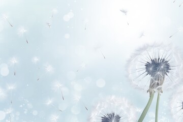 A dandelion seedhead being carried away by the wind on a beautiful and sunny day, dandelion on a white background, condolence, grieving card, AI Generated