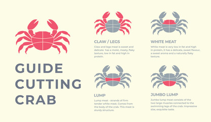 Cutting meat lobster carcass, seafood, turkey, pork, lamb, cow, chicken guide. Diagrams сutting parts meat lobster, seafood. Butcher guide. Vector flat color drawing illustration. Isolated.