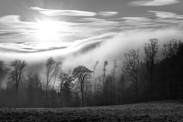 Dramatic light and mist above Lenne valley in Sauerland Germany. Scenery panorama near Altena with low son and bare trees in rural landscape on a winters evening. Black and white greyscale atmosphere.