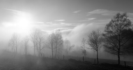Misty scenery in Sauerland Germany on a foggy winters day. Wide angle panorama near Altena and Iserlohn with low sun and bare trees in rural landscape. Black and white mystic atmosphere in rural area.