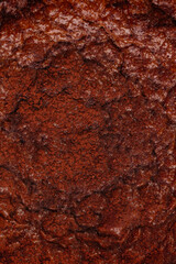 chocolate dessert on a colored background