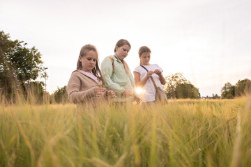 three teenage girls walking in nature, life in the village