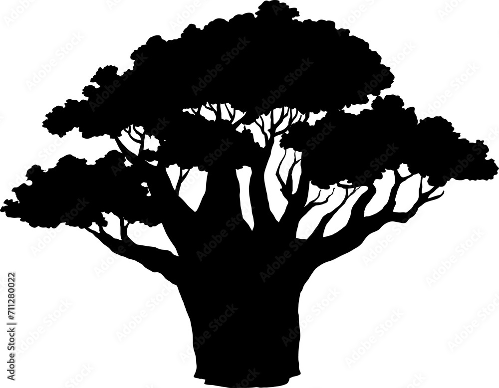 Wall mural Baobab exotic tree with broad trunk silhouette