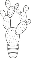 Agave americana cactus prickly plant outline cacti