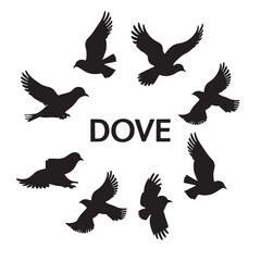 Obraz premium Peace Dove 9, Flying Bird, Black Silhouette, set of birds birds Vector Illustration isolated on white backgroun