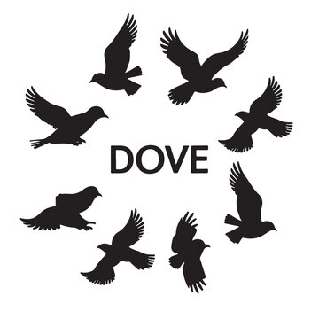Peace Dove 9, Flying Bird, Black Silhouette, set of birds birds Vector Illustration isolated on white backgroun