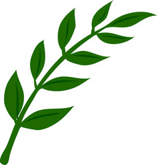 Tropic leaf tree plant foliage, green branch