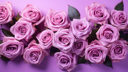 Elegant Roses on Lavender Backdrop