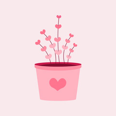 pink flowers in a pot