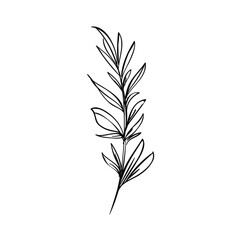 vector illustration of plant on white background