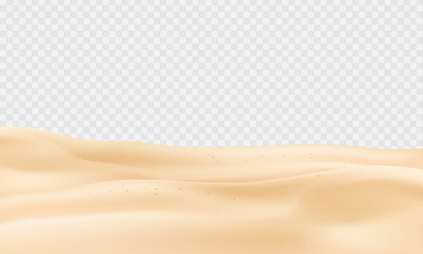 Vector realistic beach coastline sand surface