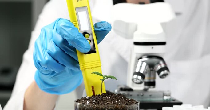 Chemist scientist measuring soil acidity in with plant sprout using ph meter closeup 4k movie slow motion. Production of fertilizers for soil fertility concept