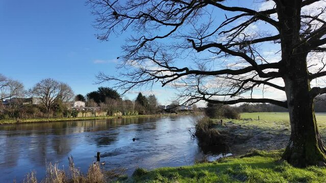 Rriver Suir at Kilsheelan early on a bright winter morning