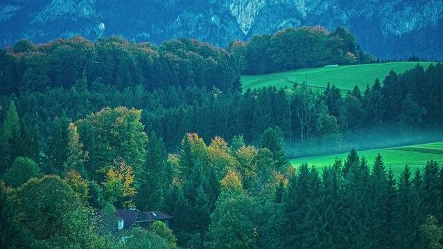 Cinematic Time Lapse Landscape, Pine Trees Valley Around Grass Meadows, Sunlight