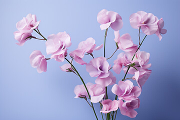 A minimalist 3D image of a pastel sweet pea, with its soft petals and tendrils.
