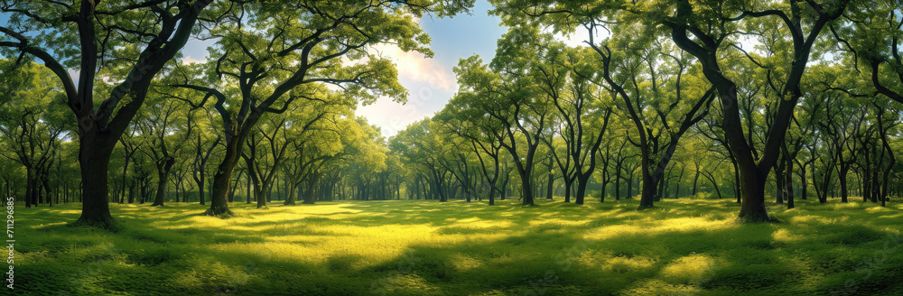 Poster A wide panorama of an oak forest in spring. Generative AI.