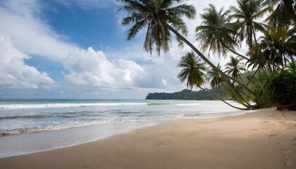 Palm trees leaned over the sea tropical beach.