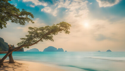 sea beach blue sky sand sun daylight relaxation landscape with plants