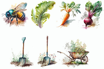 Watercolor set of vegetable garden. Hand-drawn illustration isolated on white background in boho style.