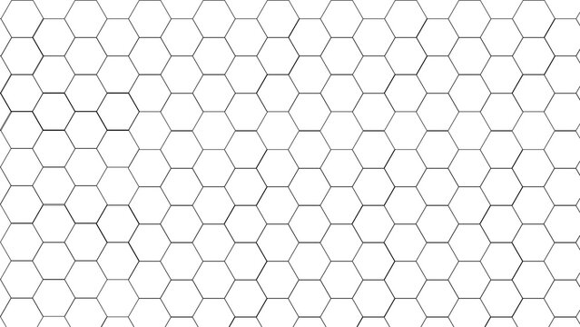 pattern with hexagons bee hive design