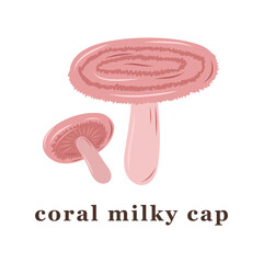 Set of large and small coral milky cap mushrooms. edible mushrooms.