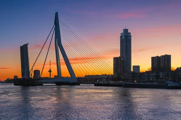 Foto op Plexiglas Erasmusbrug Risultato di traduzione view of Erasmus Bridge at sunset, Rotterdam, Holland, Netherlands