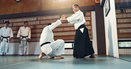 Aikido, sensei and Japanese students with discipline, fitness and action in class for defence or...