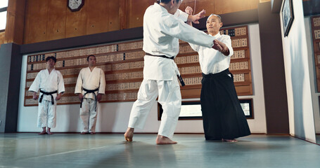 Aikido, sensei and Japanese students with discipline, fitness and action in class for defence or...