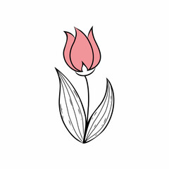 tulip on a white background. Vector illustration in doodle style.