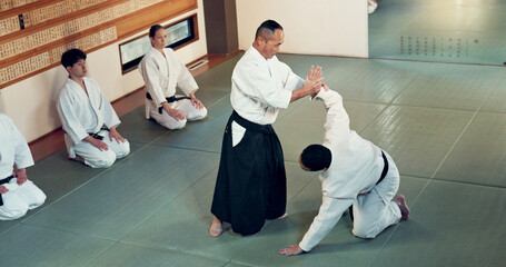 Aikido, class and fight with a master in martial arts with student in self defence, discipline and...