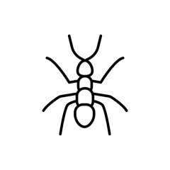 Ant outline icons, insect minimalist vector illustration ,simple transparent graphic element .Isolated on white background