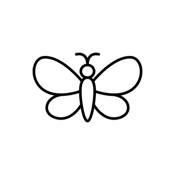 Butterfly outline icons, insect minimalist vector illustration ,simple transparent graphic element .Isolated on white background