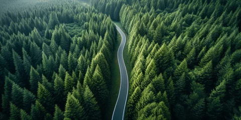 Foto op Canvas Aerial view of a road cutting through a dense forest © ParinApril