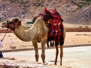 Wadi Rum, Jordan