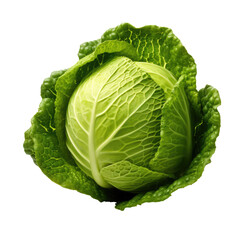 Fototapeta premium cabbage isolated on white background, clipping path, full depth of field. PNG, cutout, or clipping path. 
